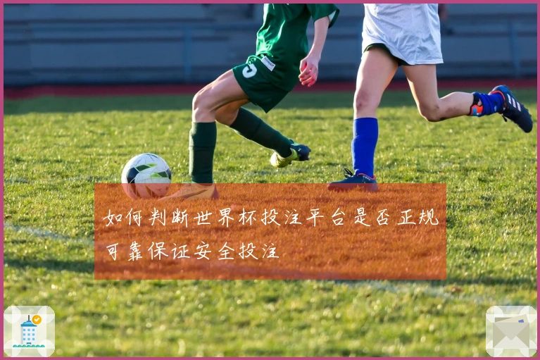 如何判断世界杯投注平台是否正规可靠保证安全投注