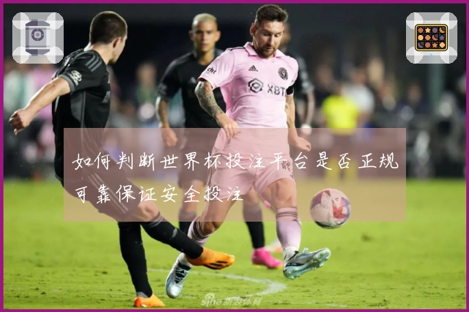 如何判断世界杯投注平台是否正规可靠保证安全投注